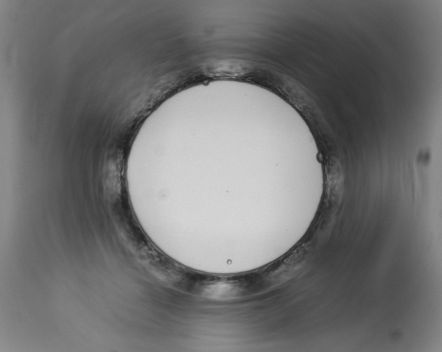 X0000112790460200909181517