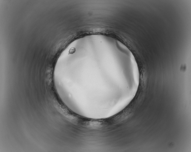 X0000112790462200909181518