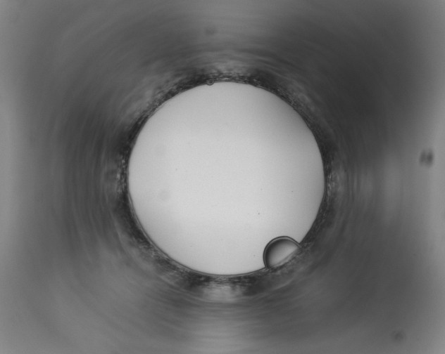 X0000112790464200909181518