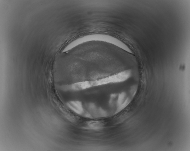 X0000112790465200909181518