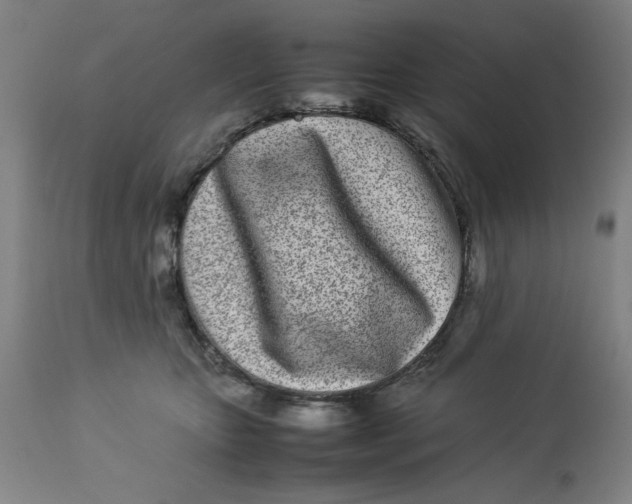 X0000112790467200909181518