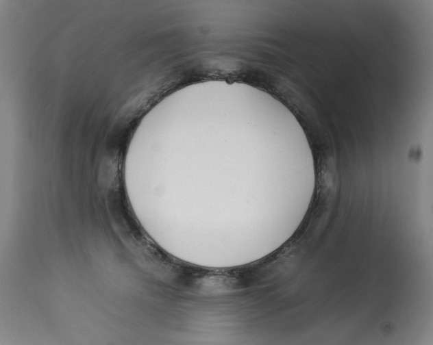 X0000112790468200909181518