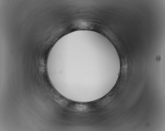 X0000112790469200909181518