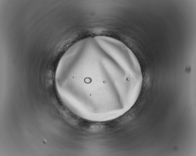 X0000112790470200909181518