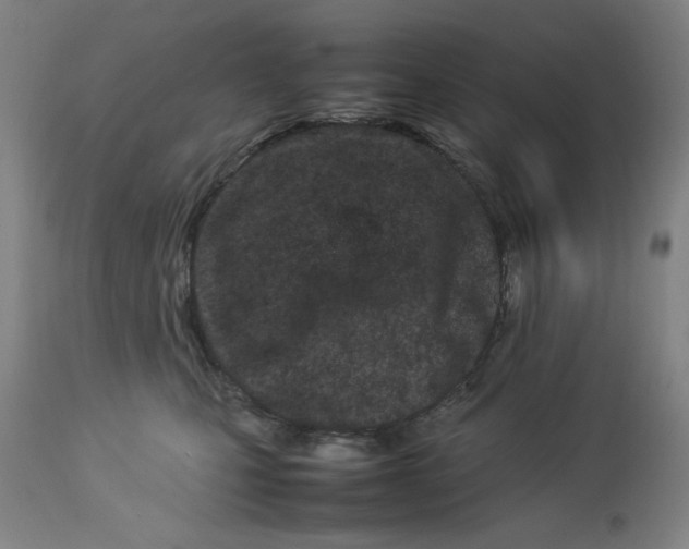 X0000112790471200909181518