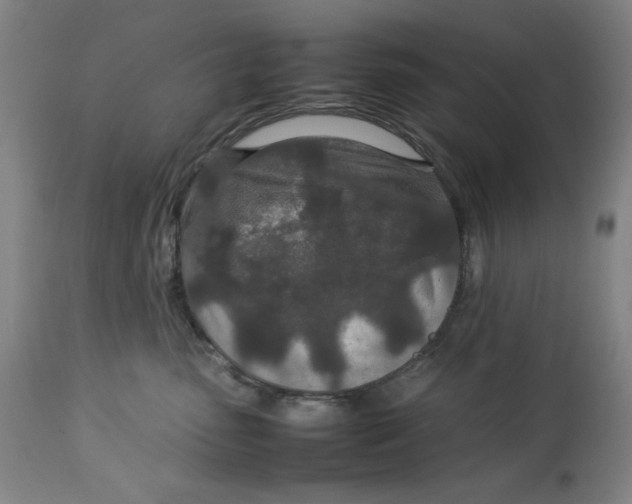 X0000112790475200909181518