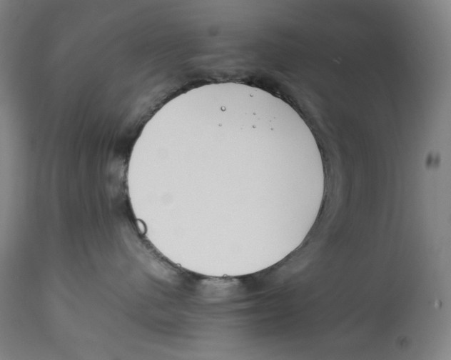 X0000112790480200909181518