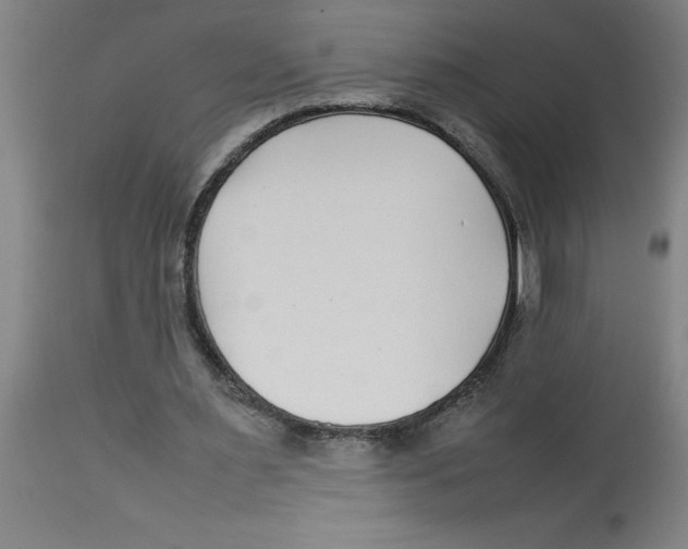 X0000112790483200909181517