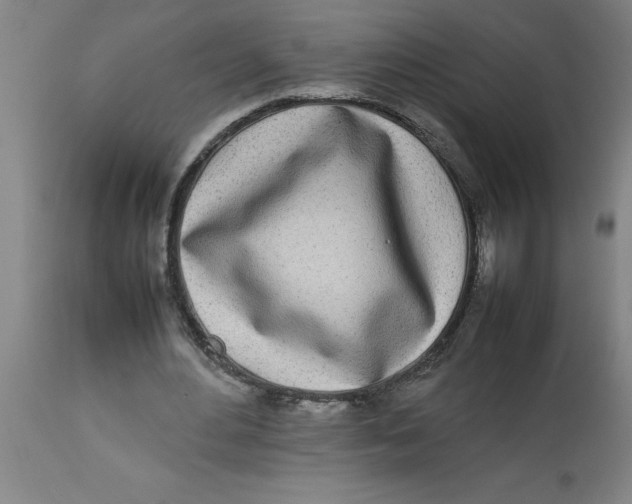 X0000112790484200909181517