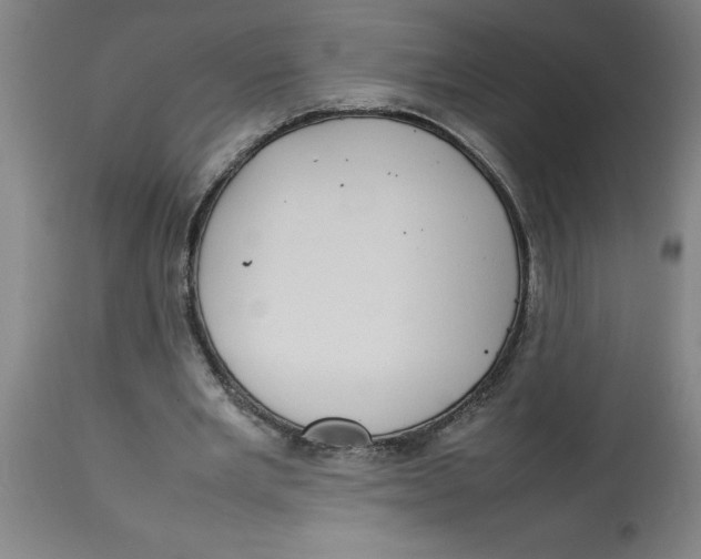 X0000112790485200909181517