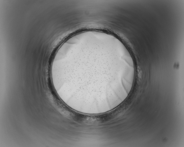 X0000112790487200909181517