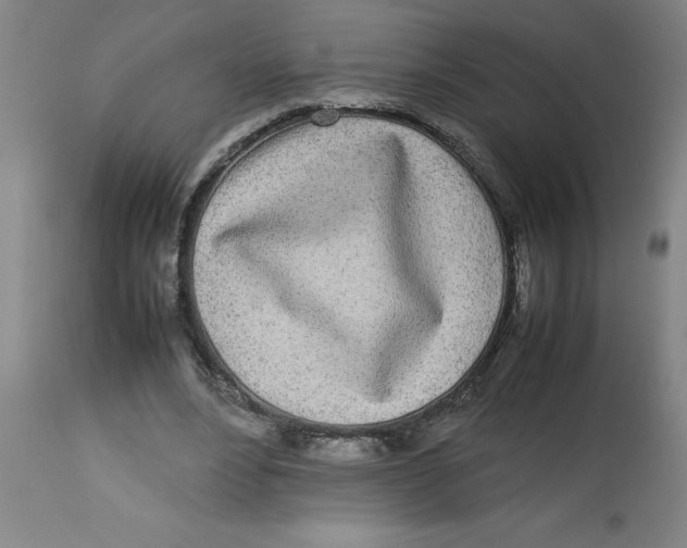 X0000112790488200909181517