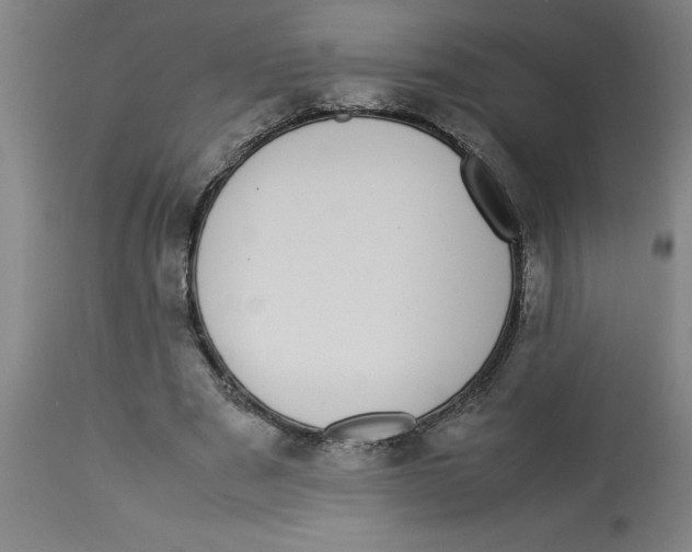 X0000112790489200909181517