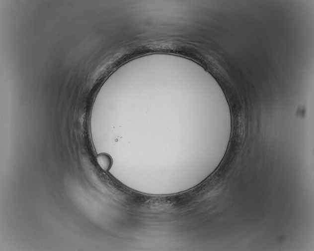 X0000112790491200909181517