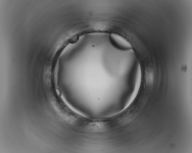 X0000112790492200909181517