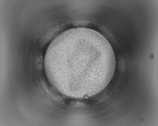 X0000112790498200909181517