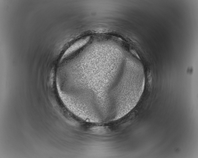 X0000112790499200909181517