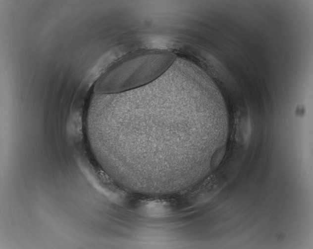 X0000112790500200909181517