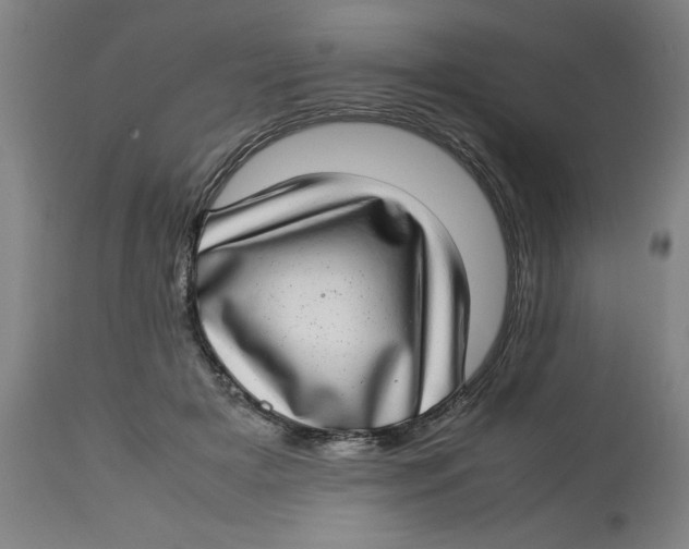 X0000112790505200909181517