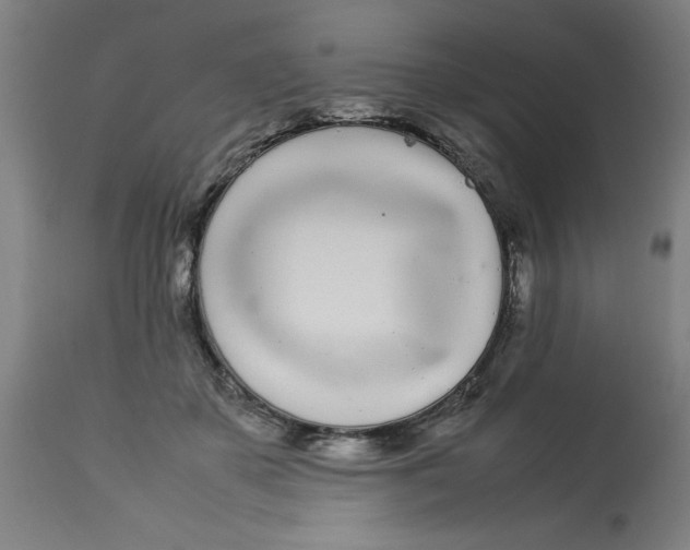 X0000112790507200909181517