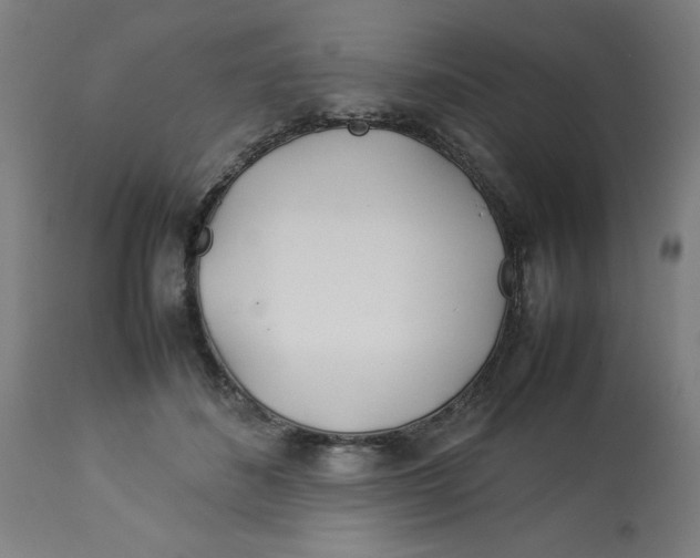 X0000112790508200909181517