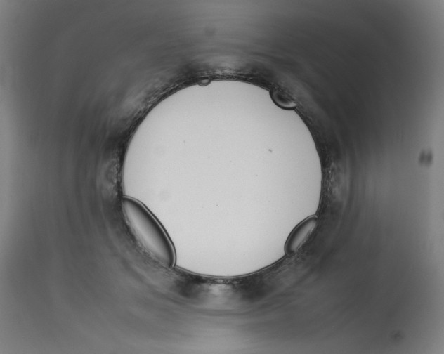 X0000112790509200909181517