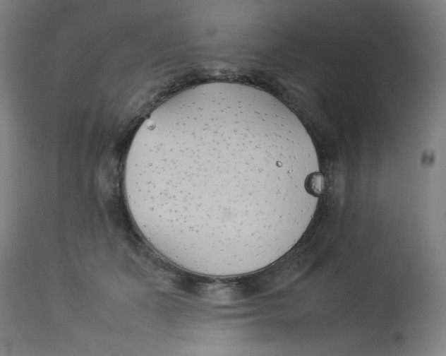 X0000112790511200909181517