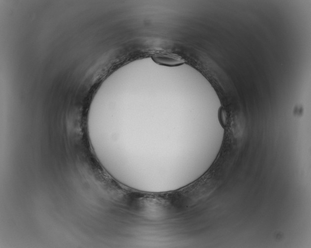 X0000112790512200909181517