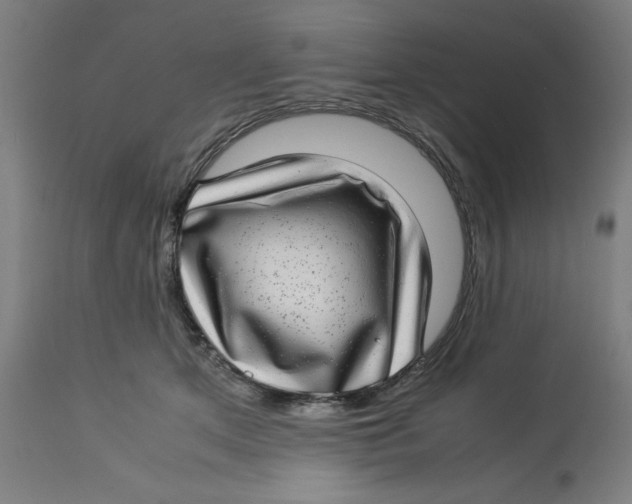 X0000112790513200909181517