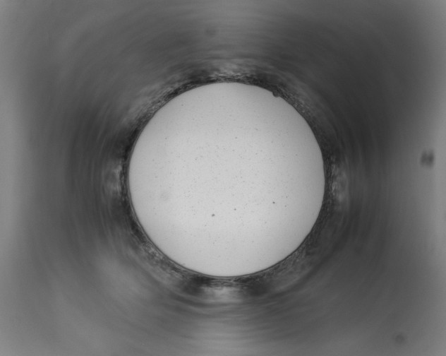 X0000112790514200909181517