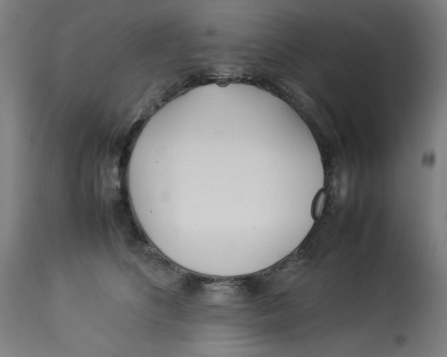 X0000112790516200909181517