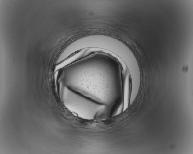 X0000112790517200909181517