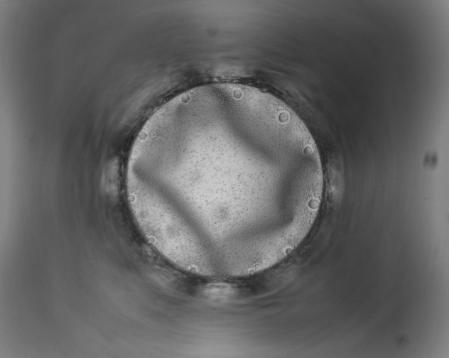 X0000112790519200909181517