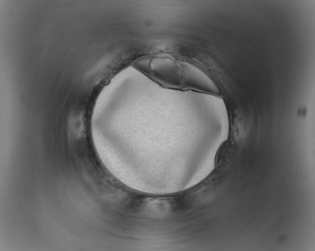 X0000112790520200909181517