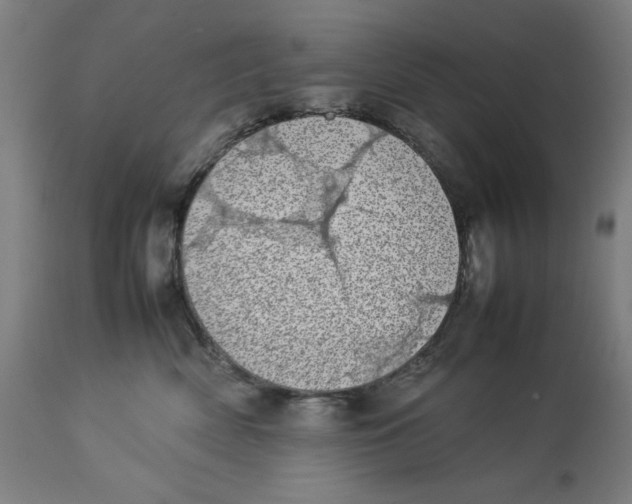 X0000112790522200909181517