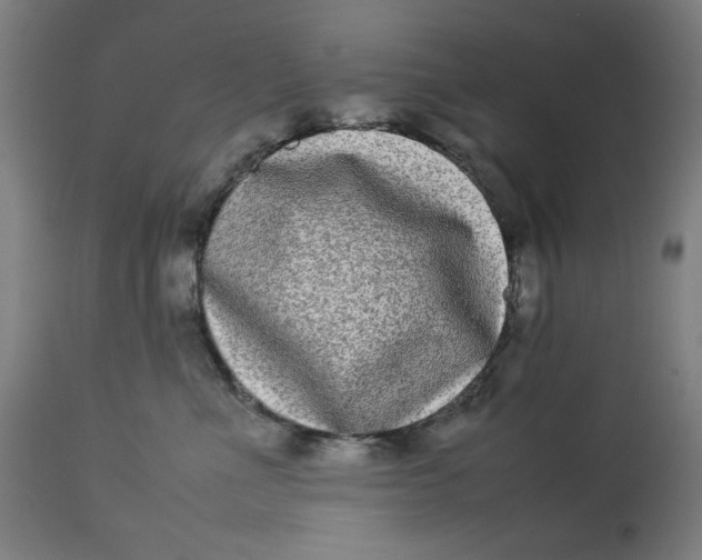 X0000112790523200909181517