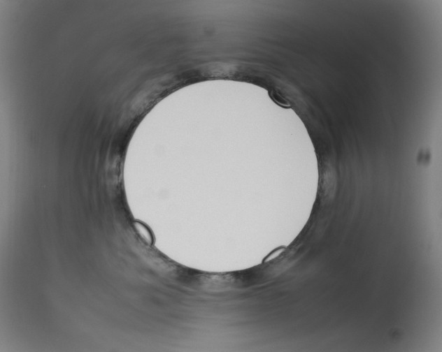 X0000112790525200909181517