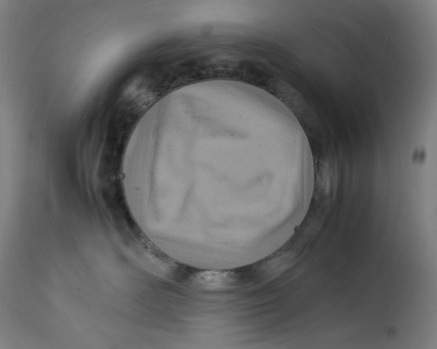 X0000112790526200909181516