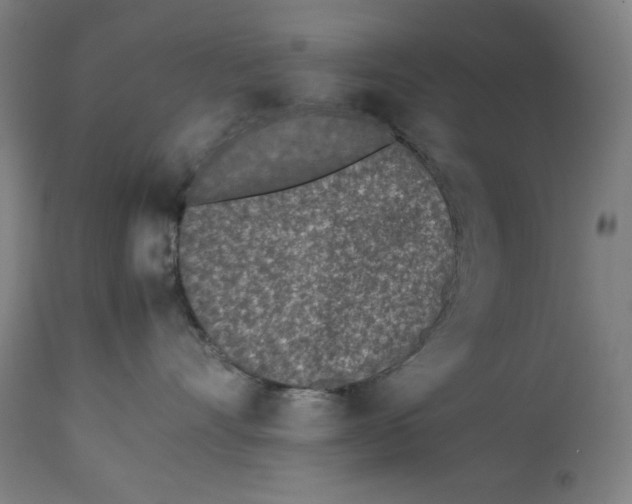 X0000112790528200909181516