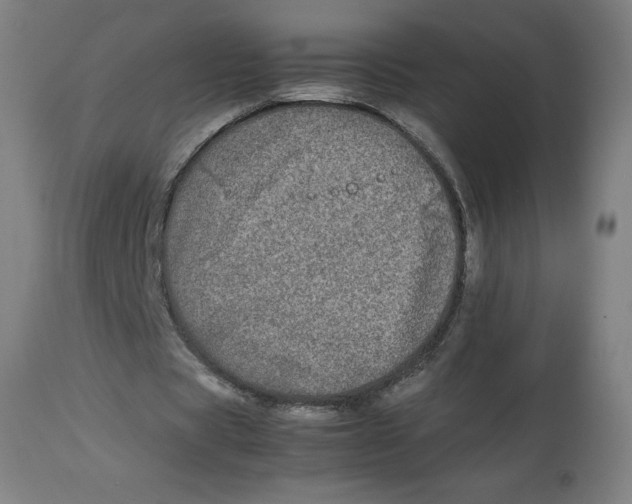 X0000112790529200909181516