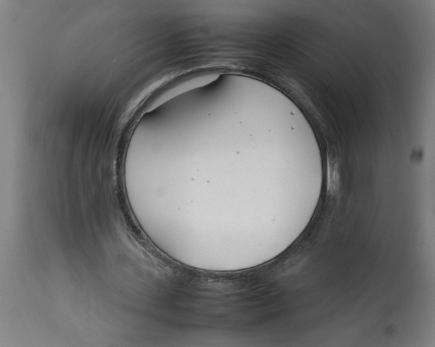 X0000112790531200909181516