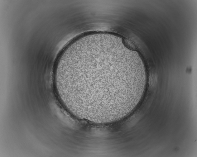 X0000112790532200909181516