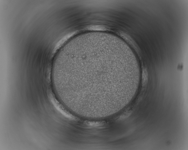 X0000112790533200909181516