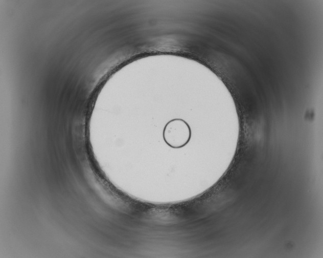 X0000112790534200909181516