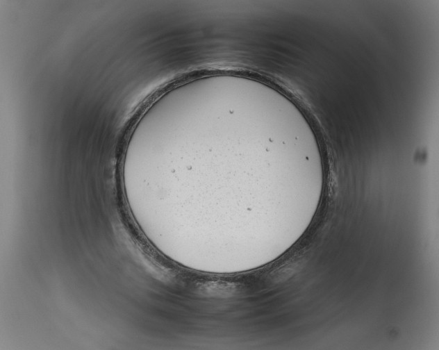 X0000112790535200909181516