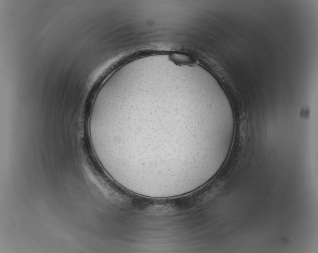 X0000112790536200909181516