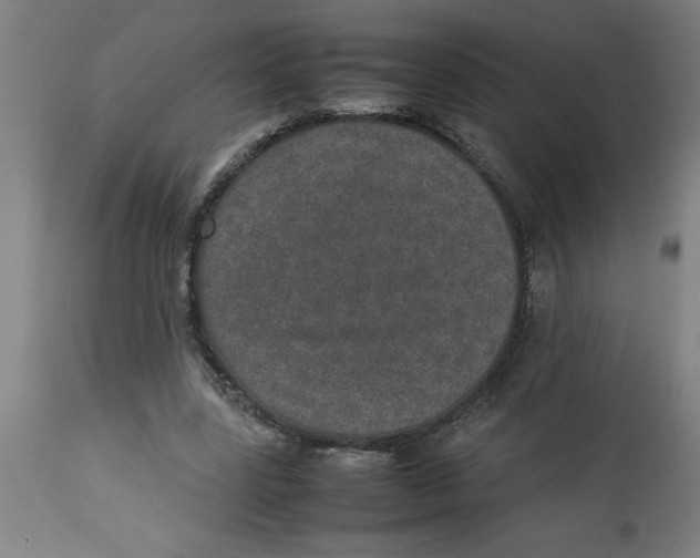 X0000112790539200909181516