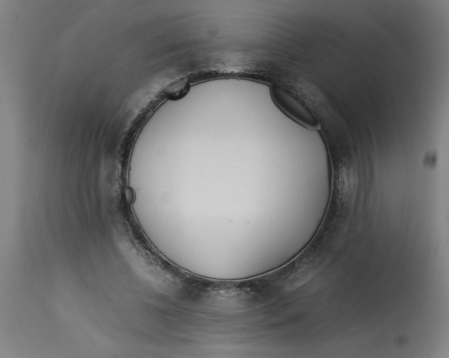 X0000112790540200909181516