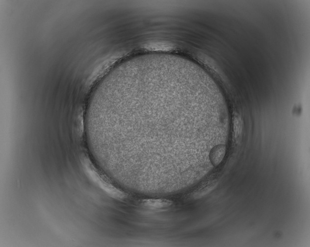 X0000112790541200909181516