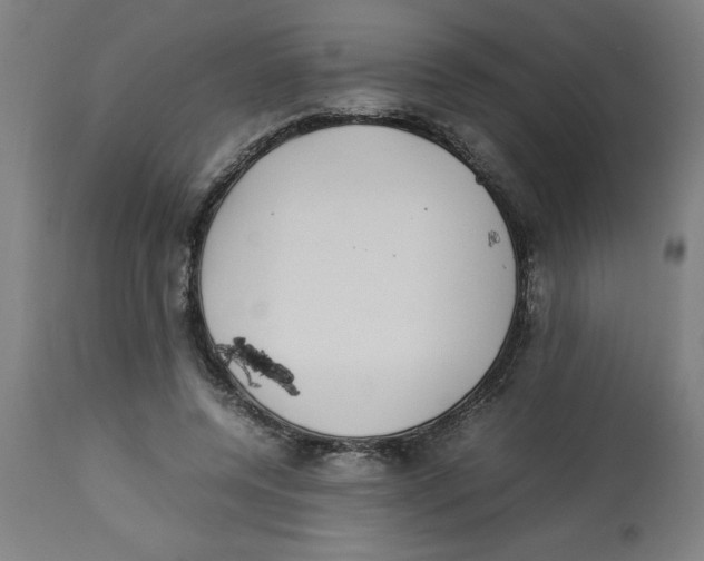 X0000112790544200909181516